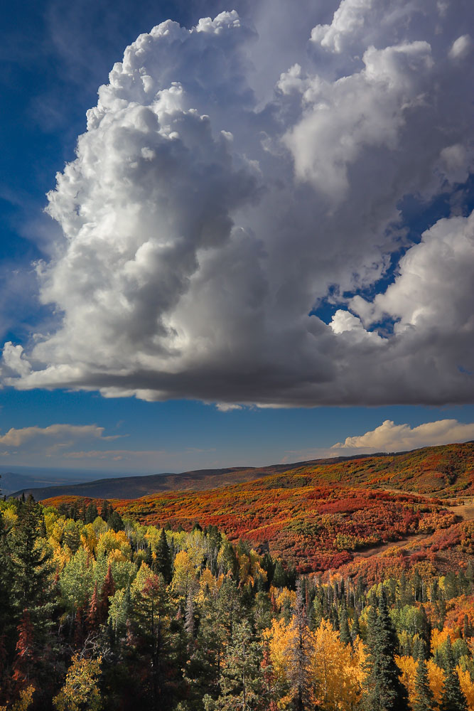 Autumn Cloud 2x3-ib-IMG_4789-001