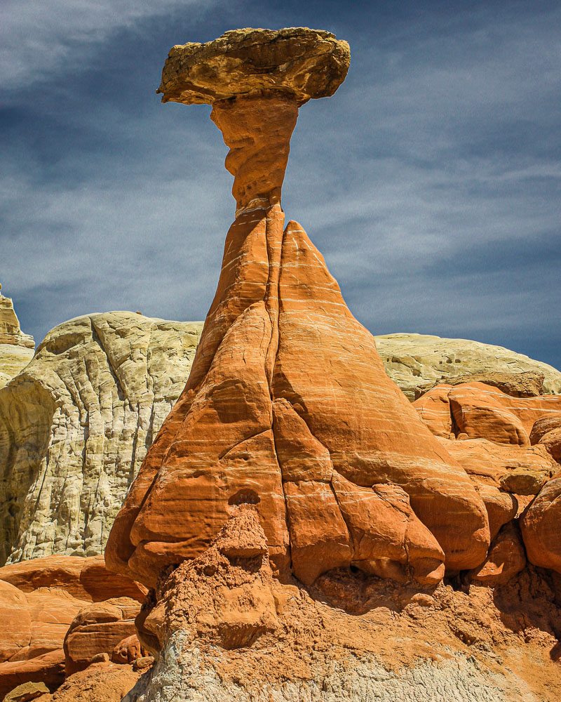 Toadstool 2x3-ib-IMG_5295-2-001