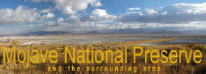 Mojave National Preserve Tour Guide